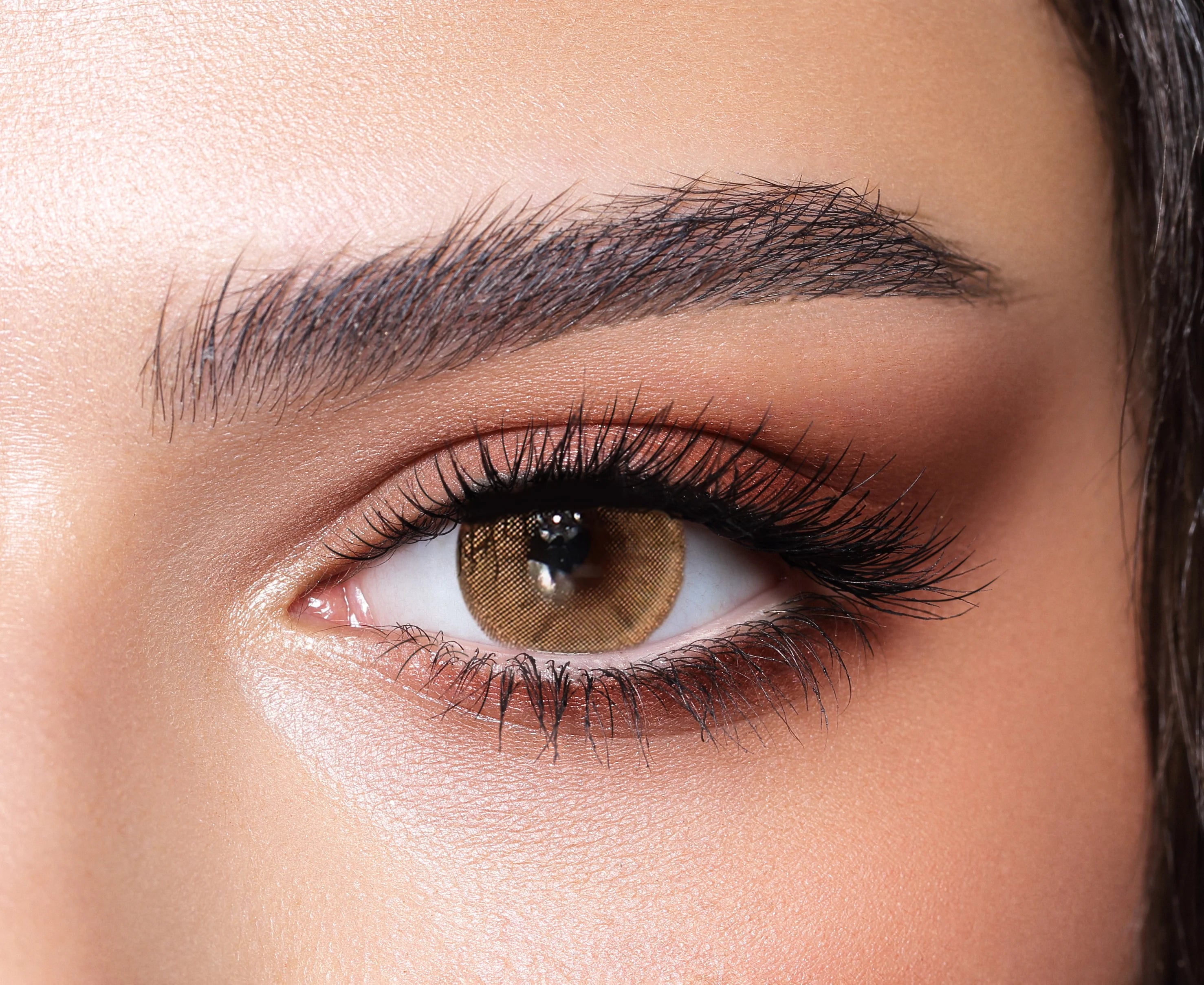 Bella One Day Hazel Beige Lense