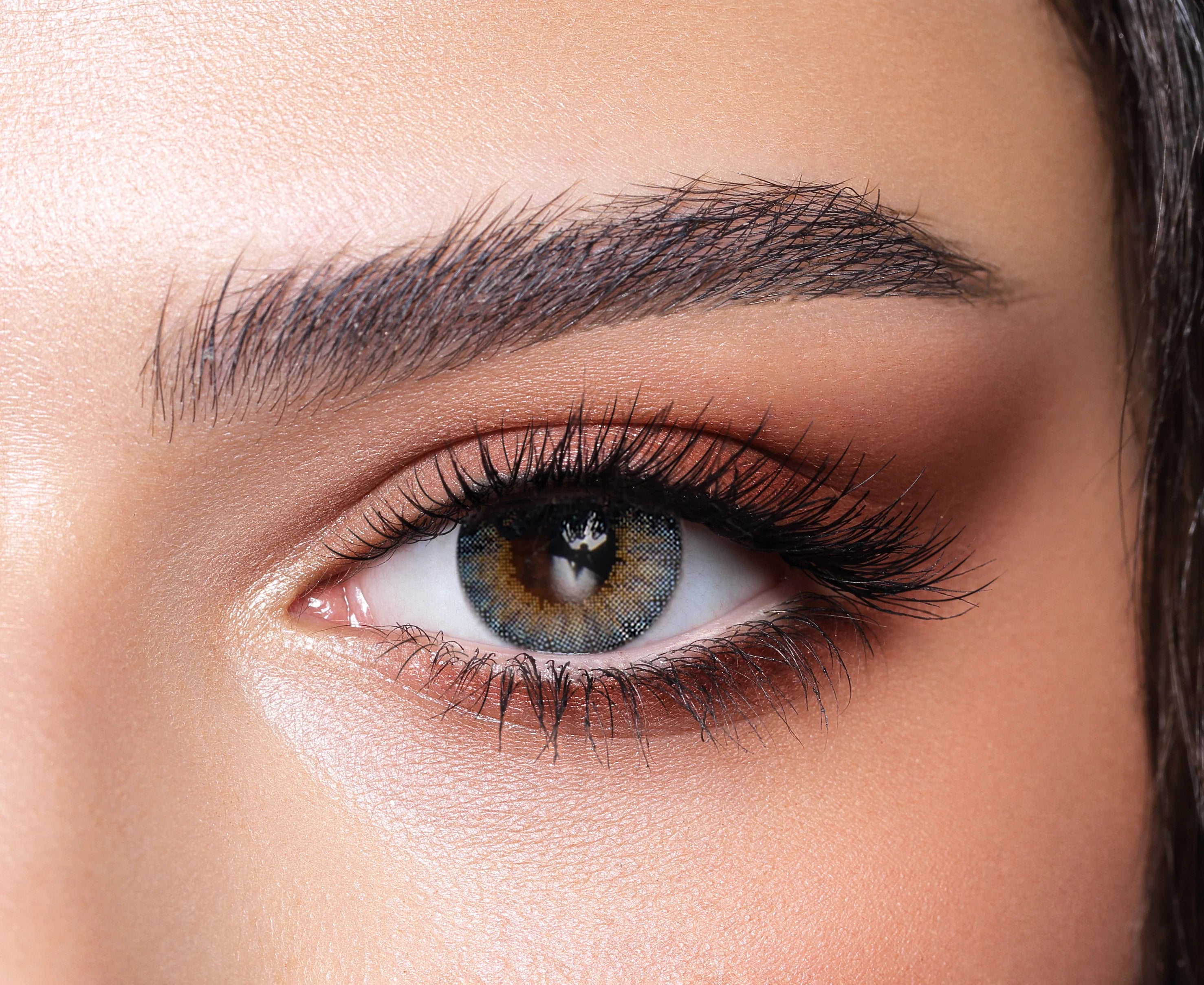 Bella One DayOcean blue Lense