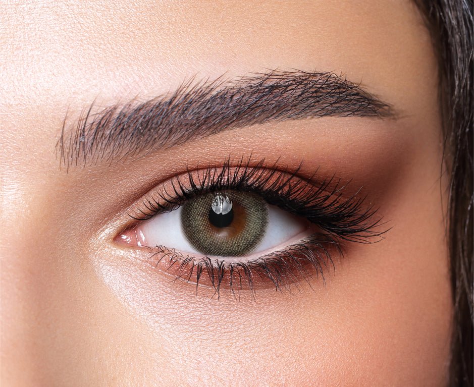 Bella One Day Pine Lense