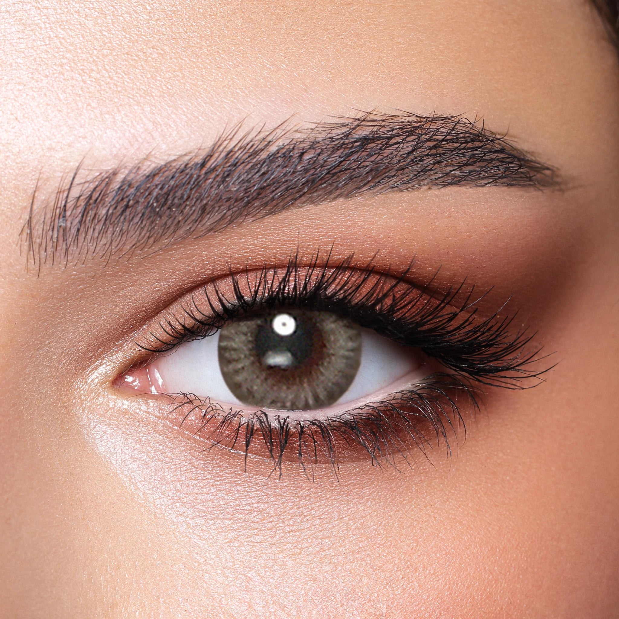 Bella One Day platium gray Lense