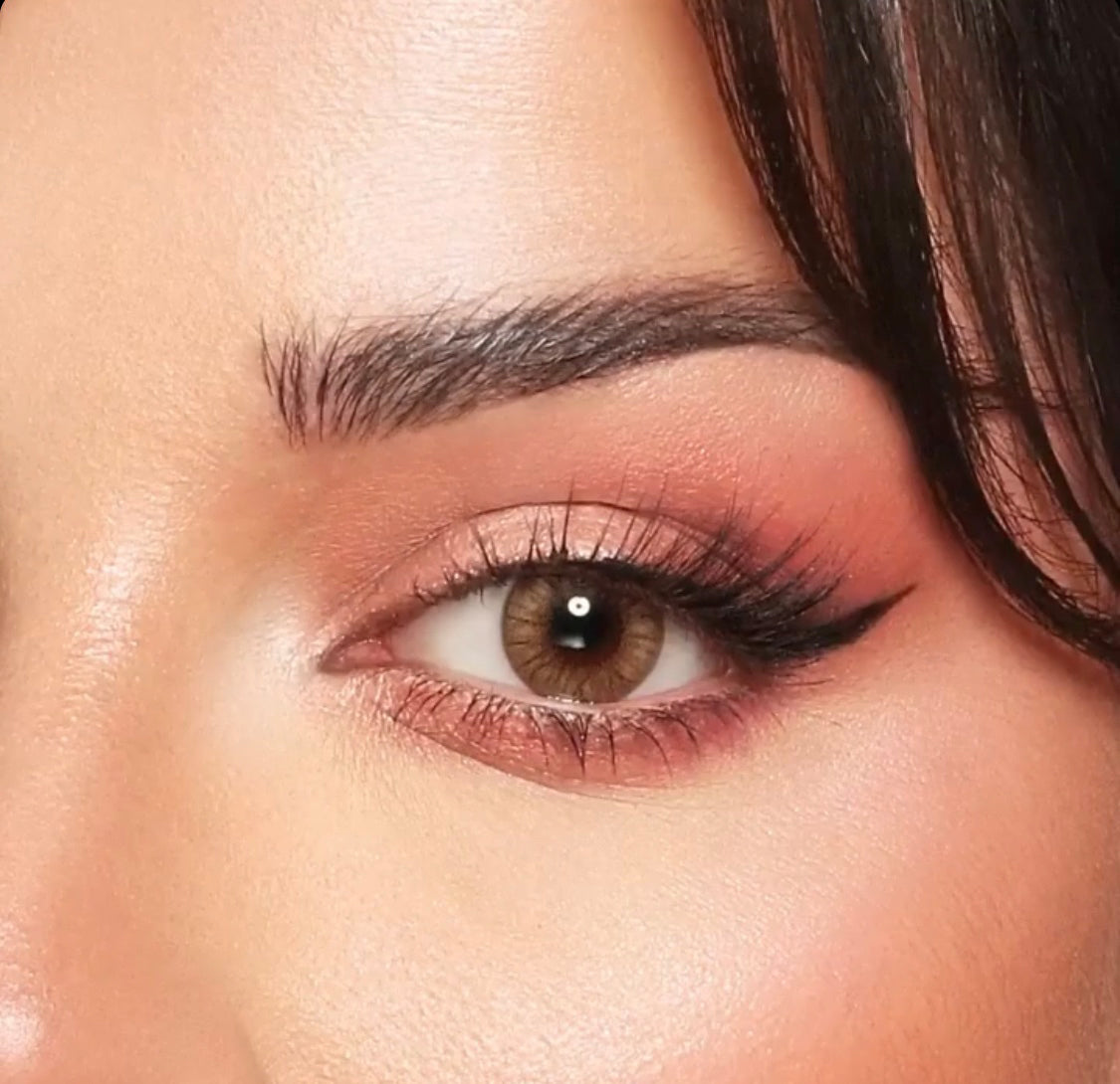 Bella One Day hazel honey Lense